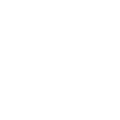 BAS1C. The Brand